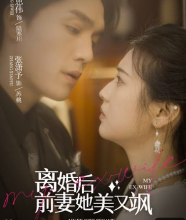 离婚后前妻她又美又飒_百度百科