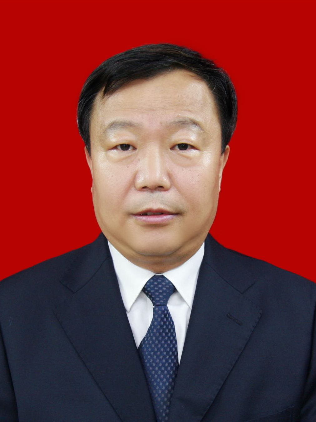 data-id="sis2deaycqsj">现任吉林省松原市长岭县委副书记,县长
