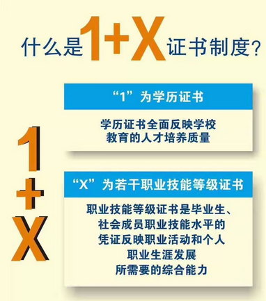 印发《 a target="_blank" href="/item/关于在院校实施"学历证书 若