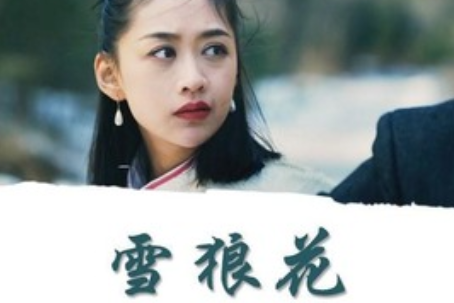  p data-id="gnzqopgyyn">《雪狼花》是由 a