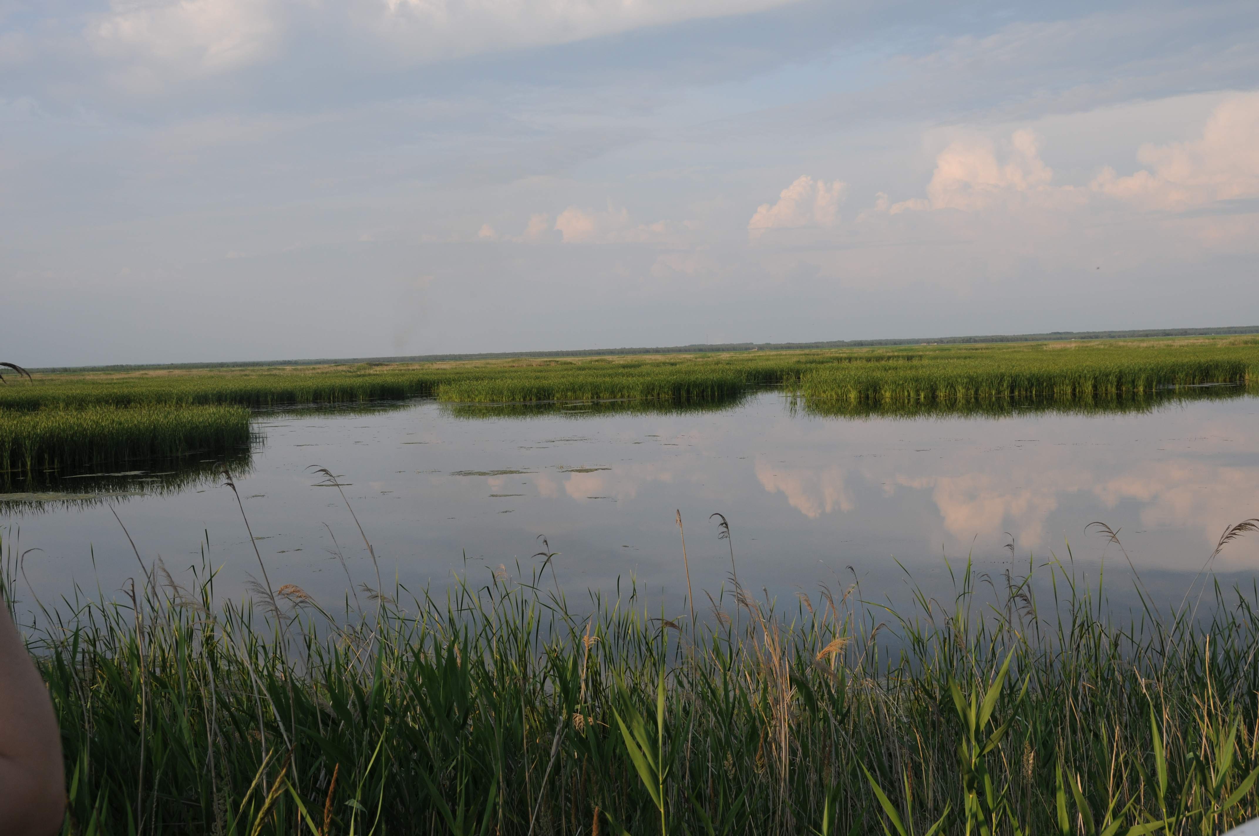  p>明水小米,黑龙江省 a target="_blank" href="/item/明水县/82648"