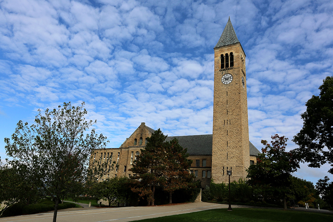 美国康乃尔大学