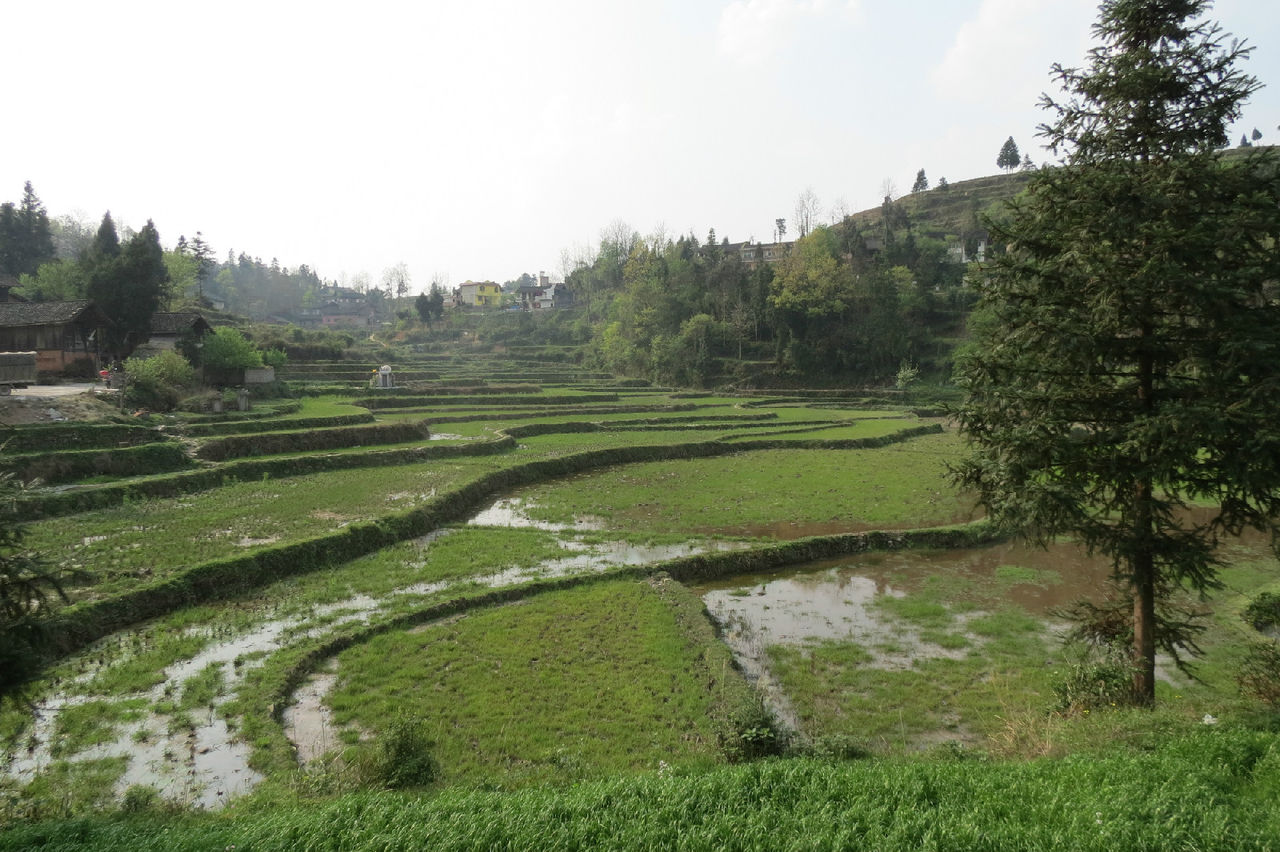  p>万屯村位于贵州省石阡县中坝镇北部,东经108.19度,北纬27.