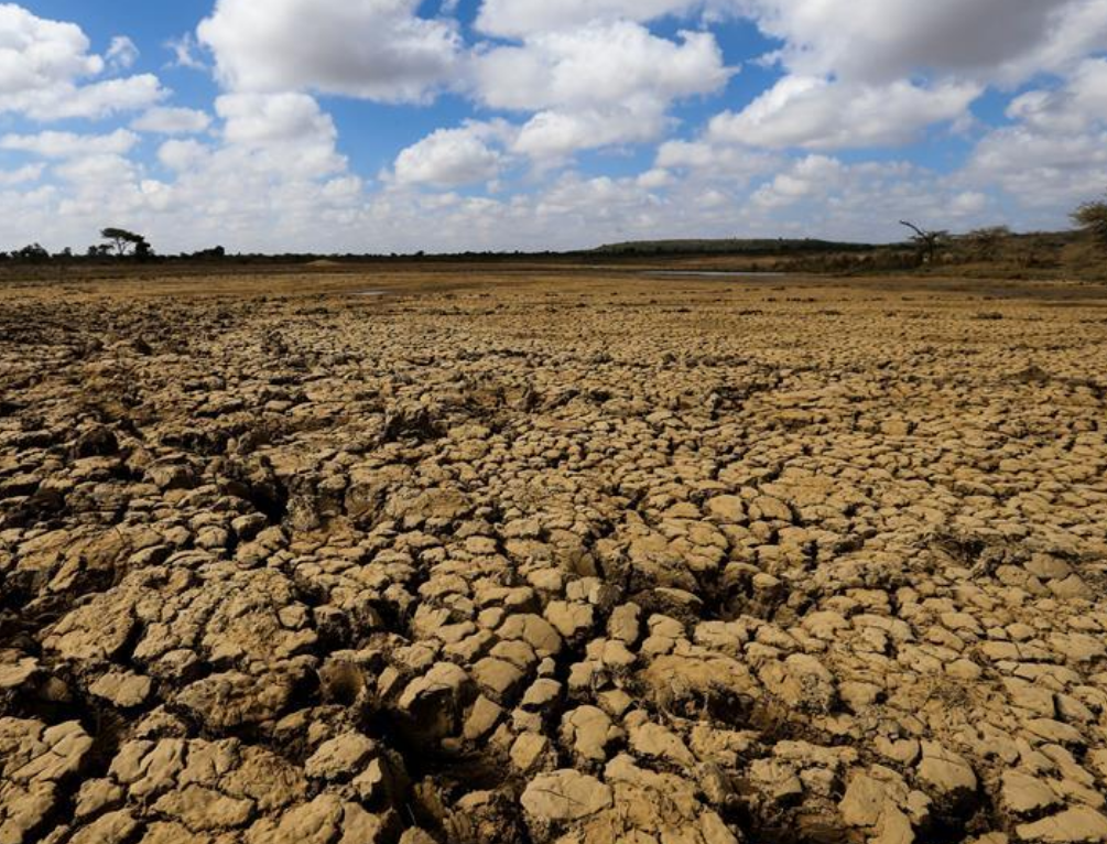  p>旱牧区是地处干旱,半干旱环境的干草原和荒漠草原牧区.