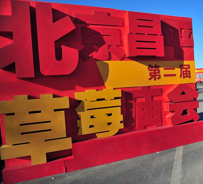 北京昌平草莓庙会