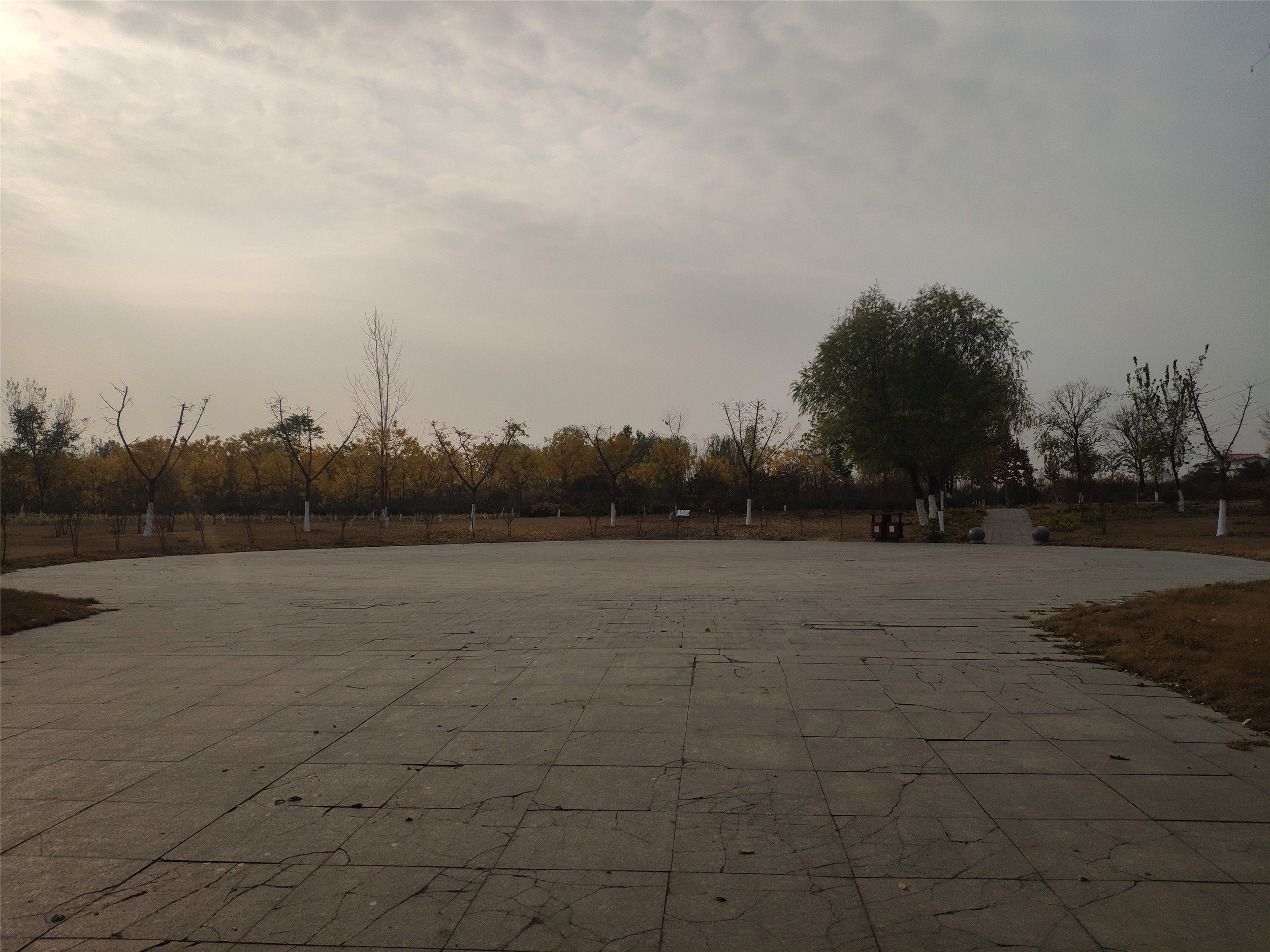 石家庄高迁公园