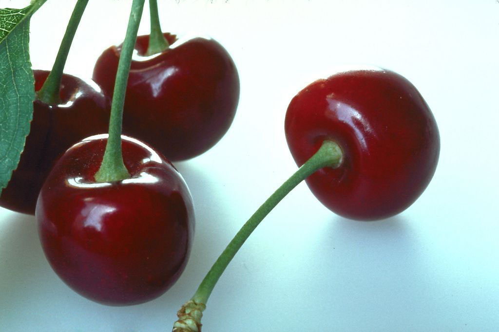  p>车厘子,音译自英语单词 b>cherries /b>(即樱桃),特指产于 a