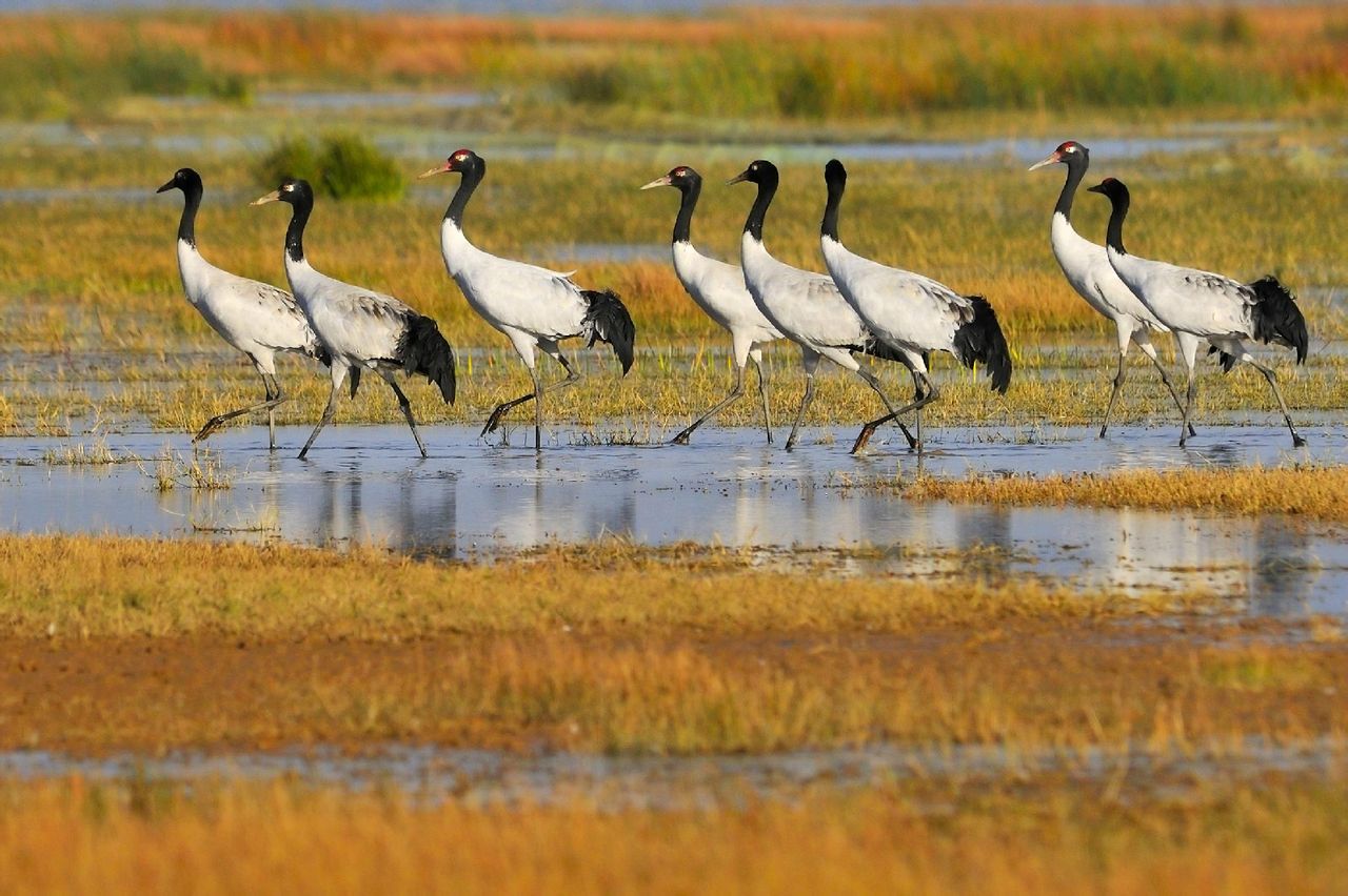 贵州省贵州威宁草海国家级自然保护区