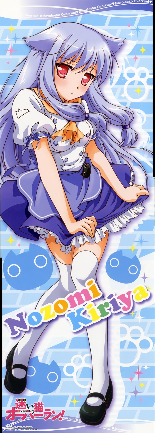 娇蛮猫娘大横行!