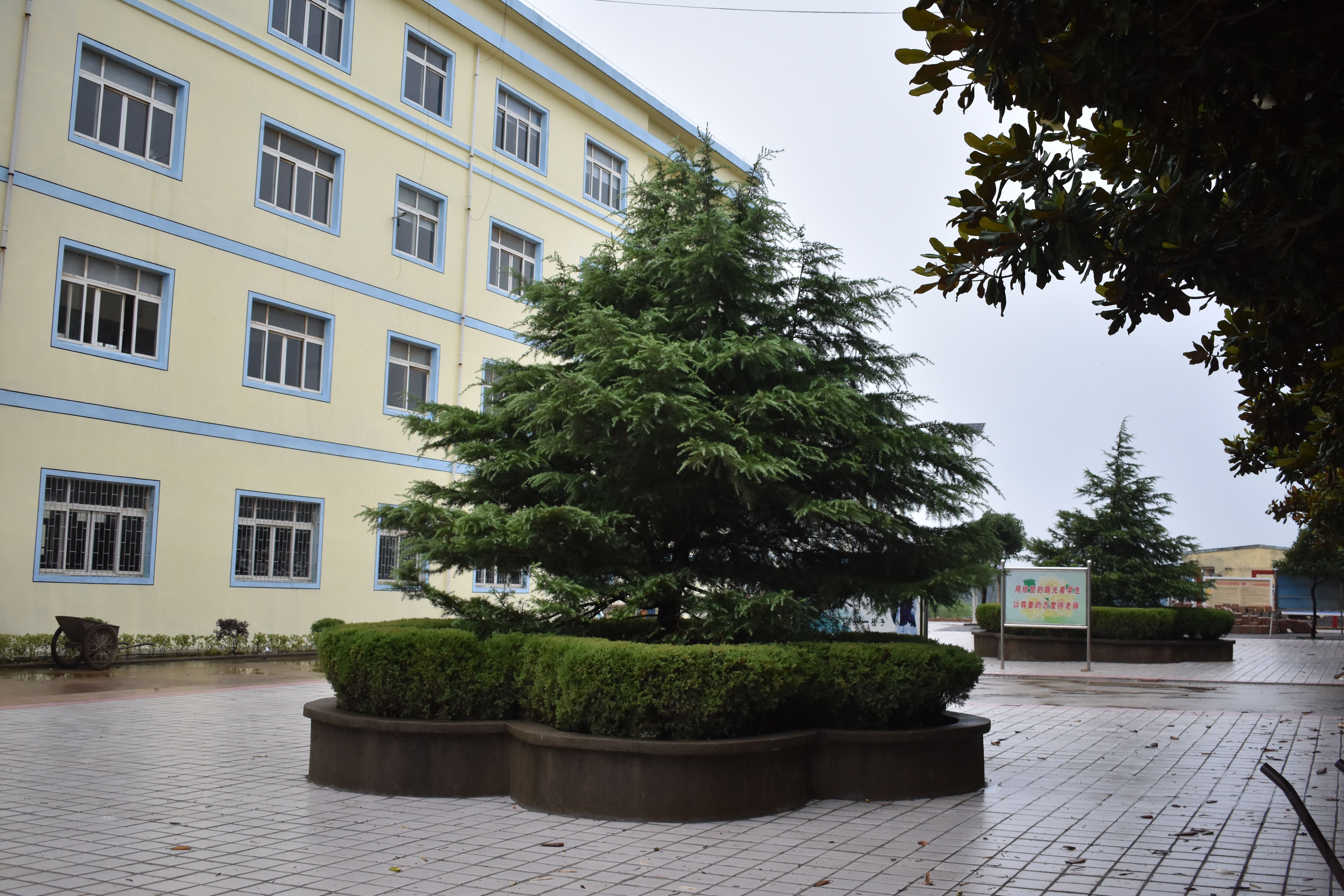  p>宿松县许岭初级中学始建于2002年,由原许岭高级中学初中部和灯塔