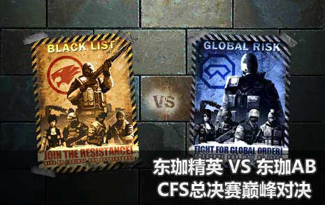 东珈精鹰