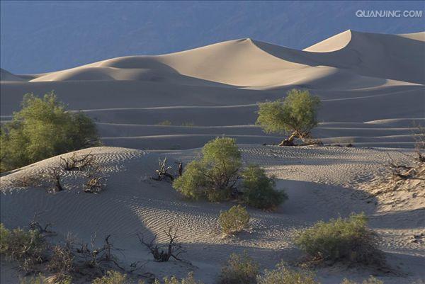  p>死亡谷国家公园(death valley national park)主要位于美国 a
