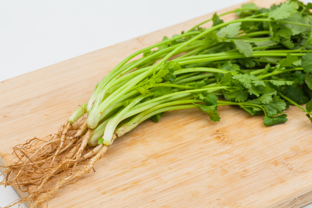  p data-id="tvwqscndh6mx">芫荽是伞形科芫荽属的一,二年生草本植物.