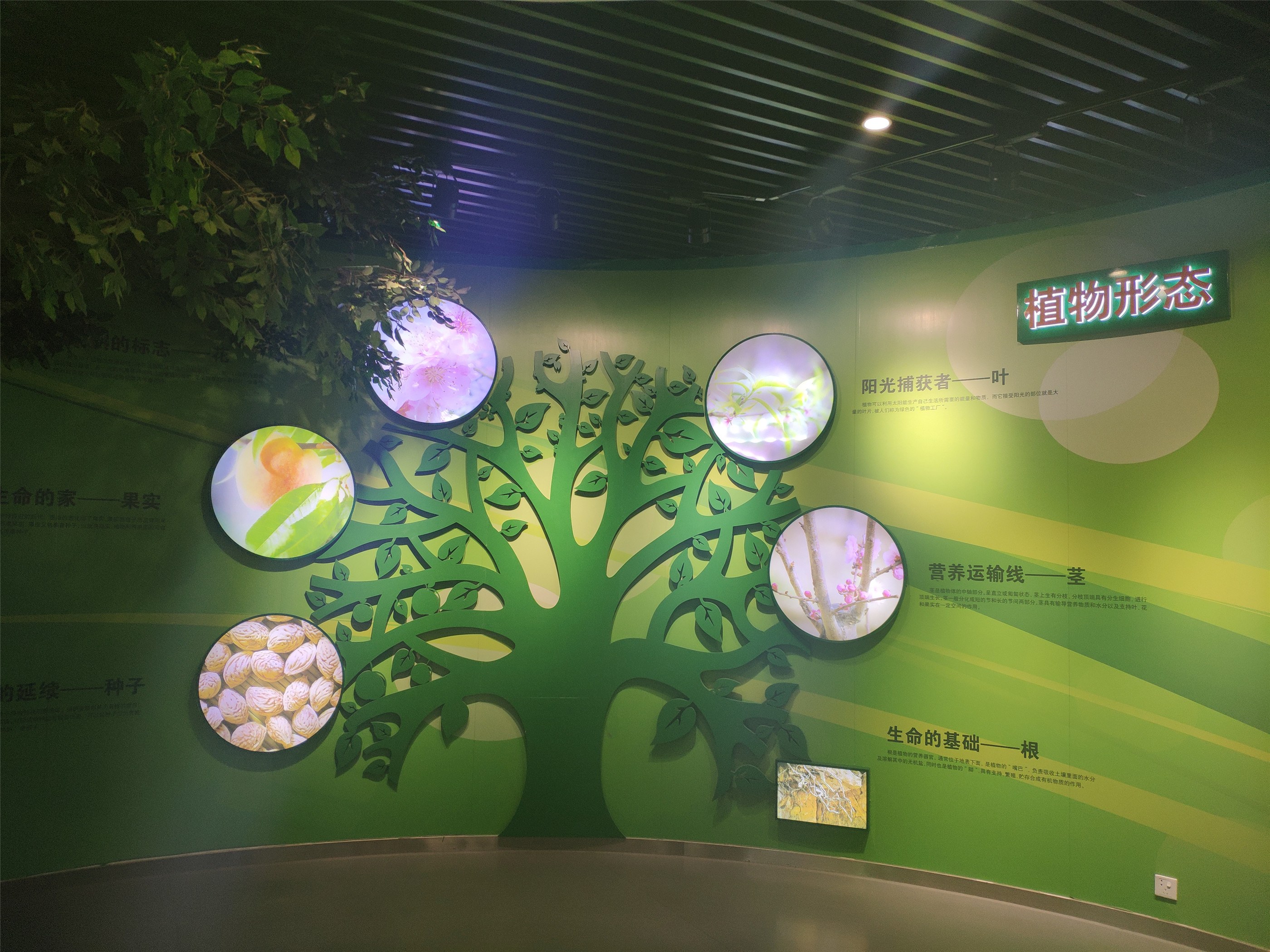 距市中心十四公里,是以植物景观观赏为主题的公园