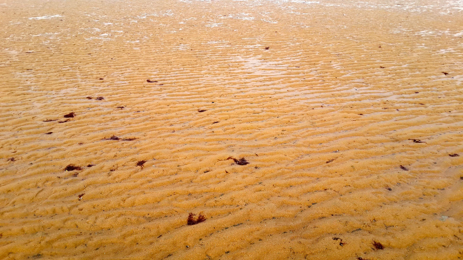  p>白沙湾位于营口市南部 a target="_blank" href="/item/仙人岛新区