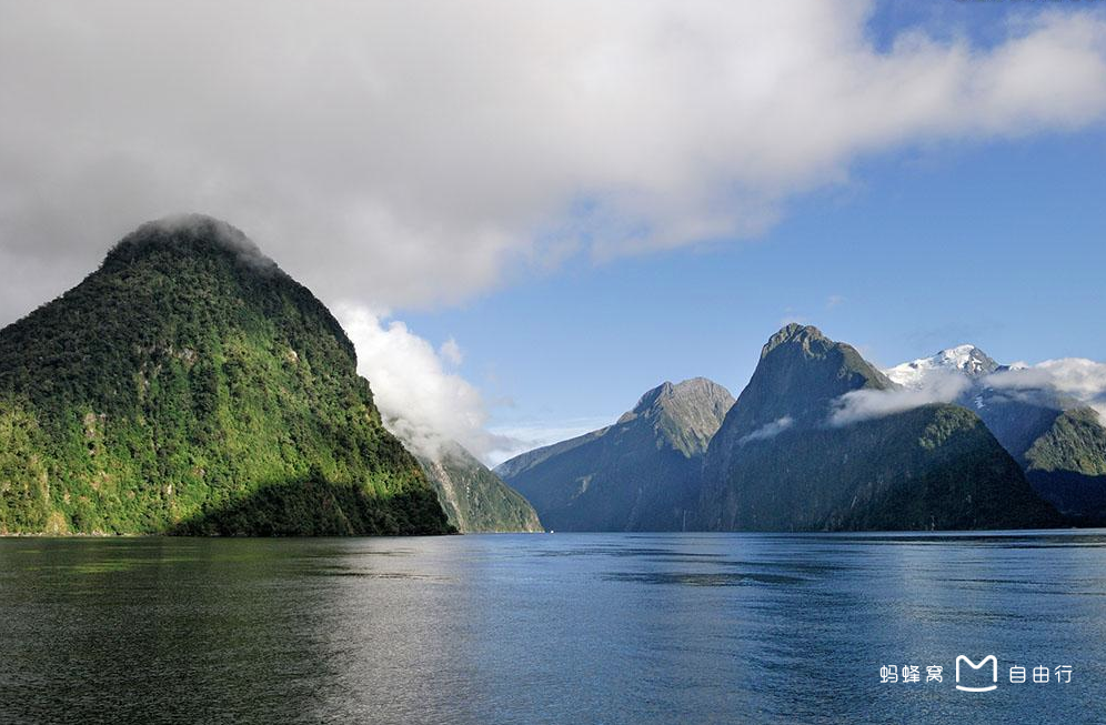 毛利语:piopiotahi),在毛利语的意思为"第一只野生画眉"(first native