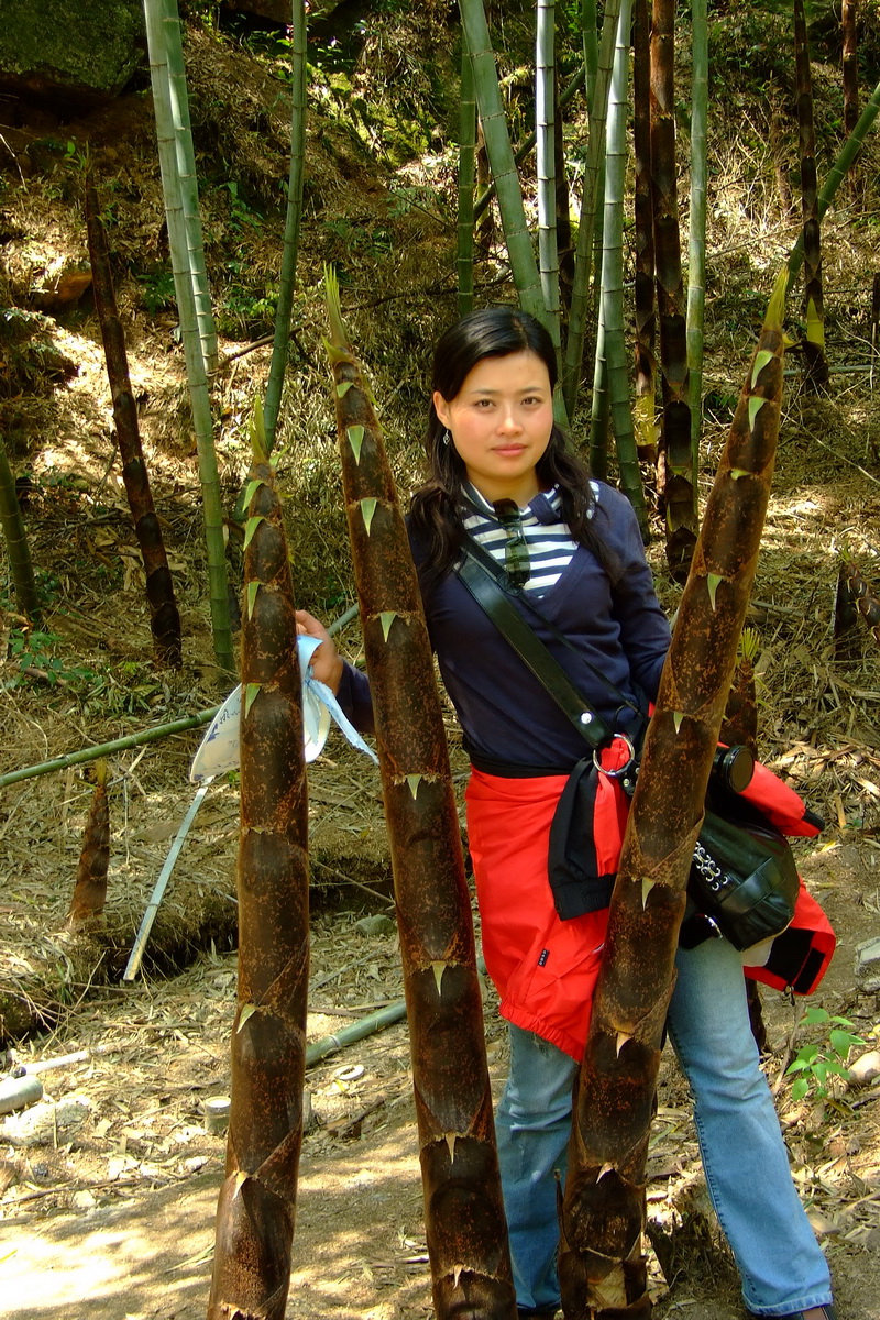 年出生于甘肃省 a target="_blank" href="/item/甘南草原/659410"