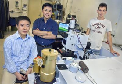张翔（中国科学院外籍院士、香港大学校长）_百度百科