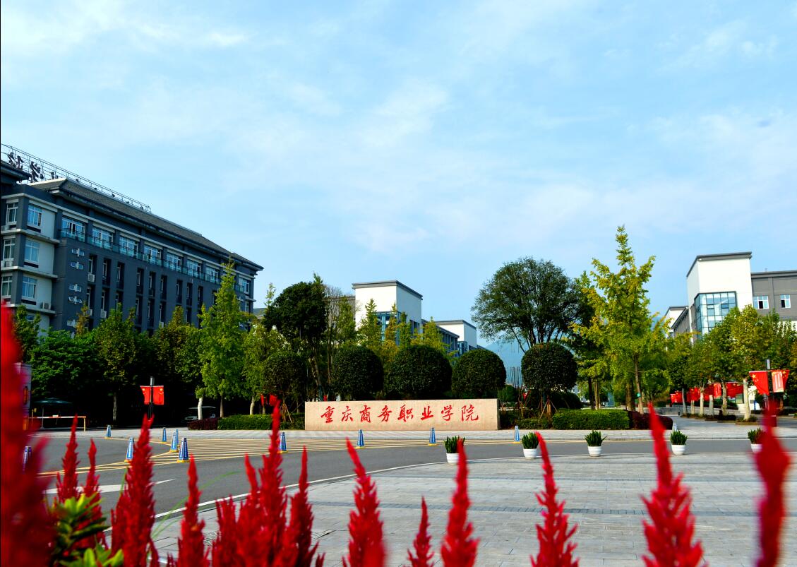 chongqing business vocational college