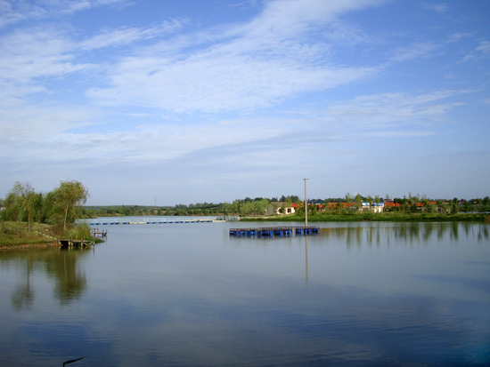 江苏省仪征市枣林湾生态园