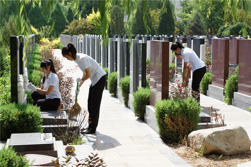  p>银川松鹤陵园,原植物园公墓,坐落于银川市金凤区银植路植物园,北接