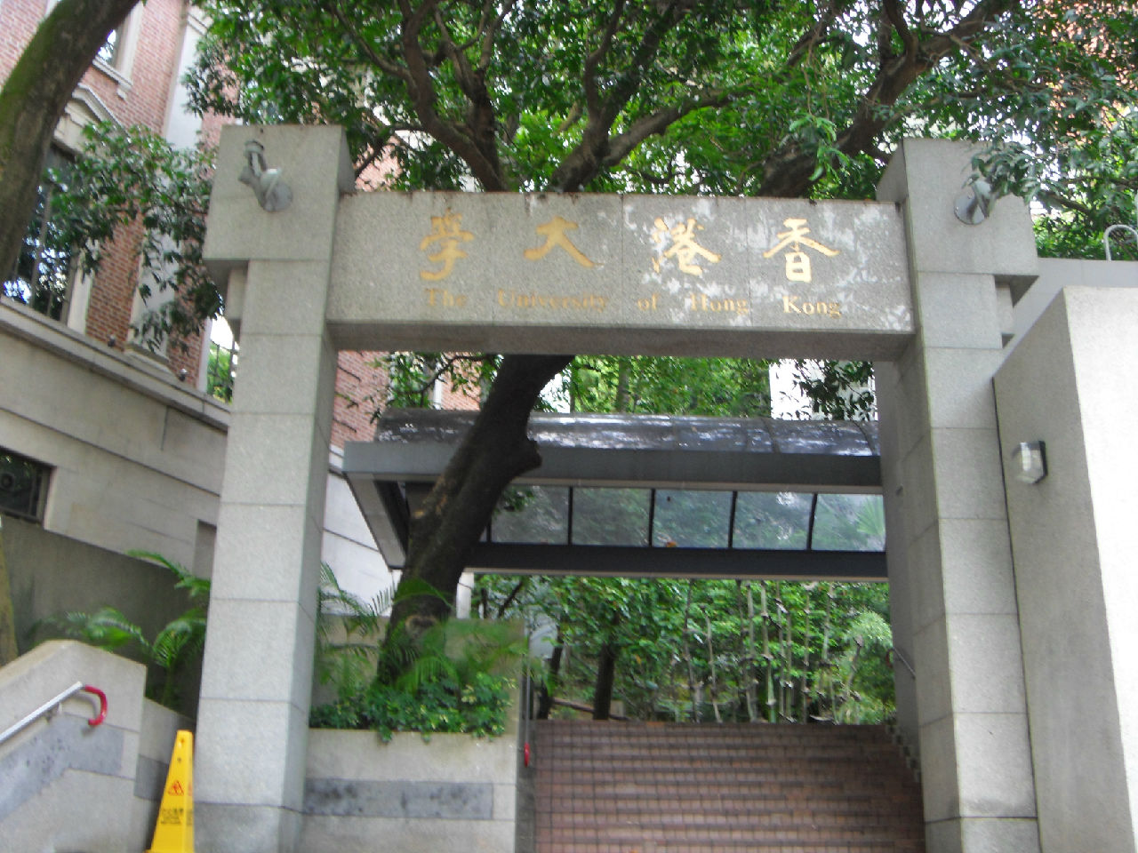 香港大学