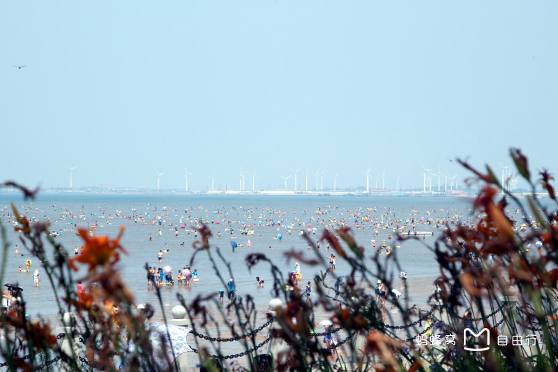  p>白沙湾位于营口市南部 a target="_blank" href="/item/仙人岛新区