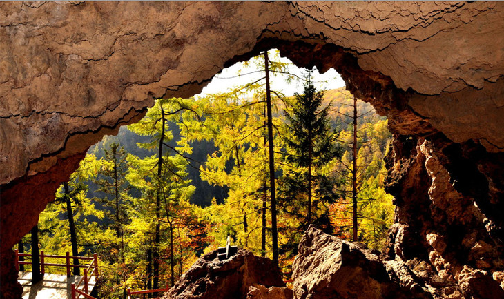 牡丹江地下森林