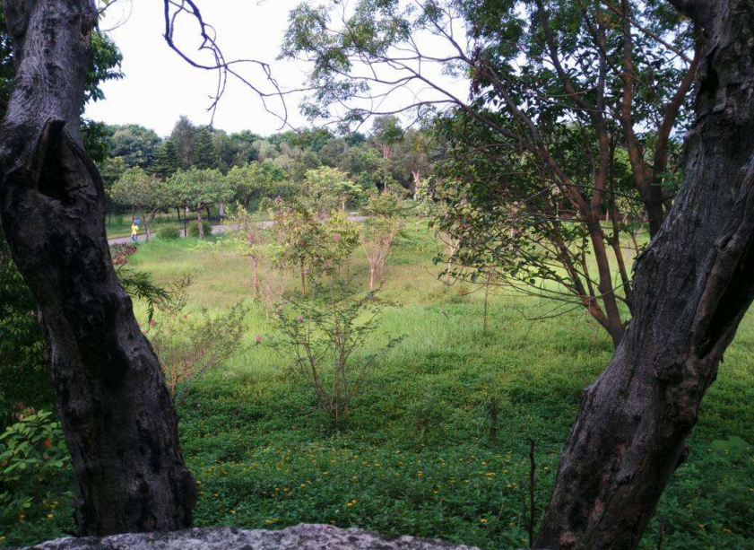 ʯɽ羰_ɽ羰ַ_ɽկ