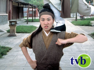 再生缘/新孟丽君传奇