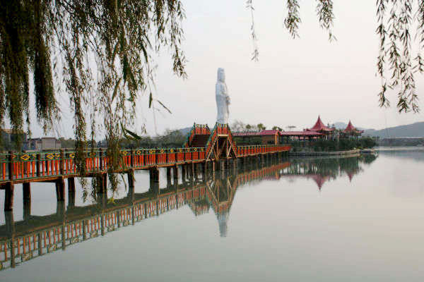 福清天生林艺园