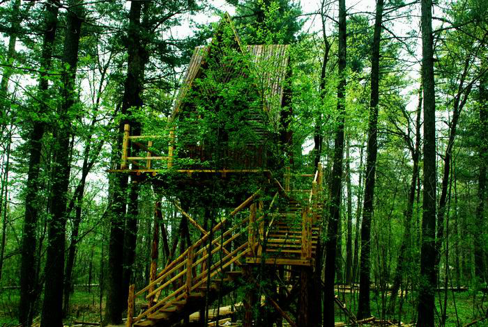 吉林露水河国家森林公园