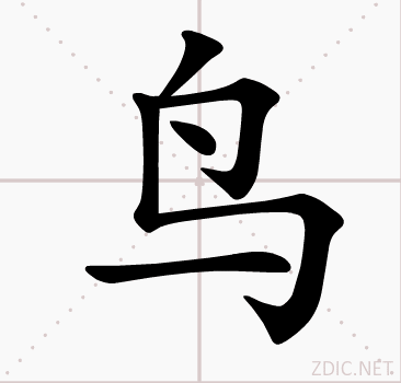 书写演示