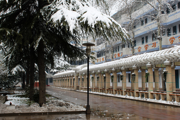 郑州市十四中中学