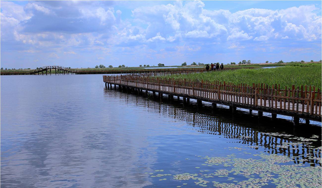 鹤鸣湖
