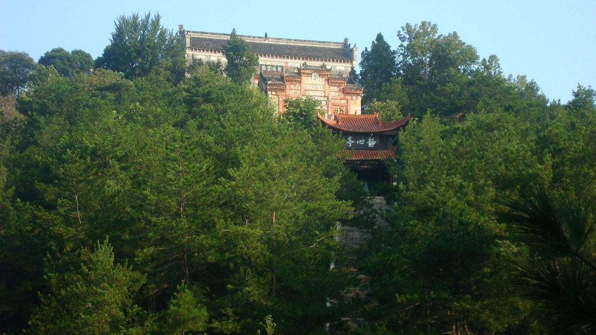 五脑山国家森林公园,国家aaaa级旅游景区,国家油茶良种基地,国际