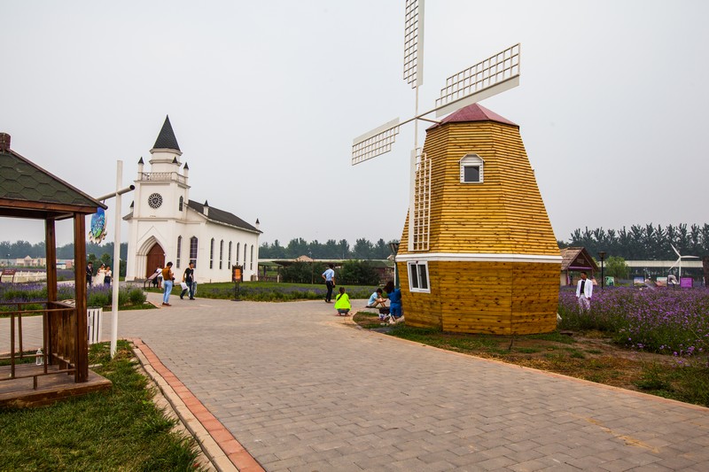 蓝调薰衣草庄园