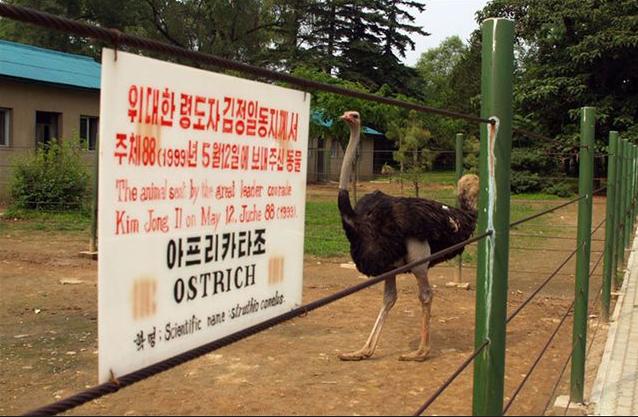 平壤朝鲜中央动物园