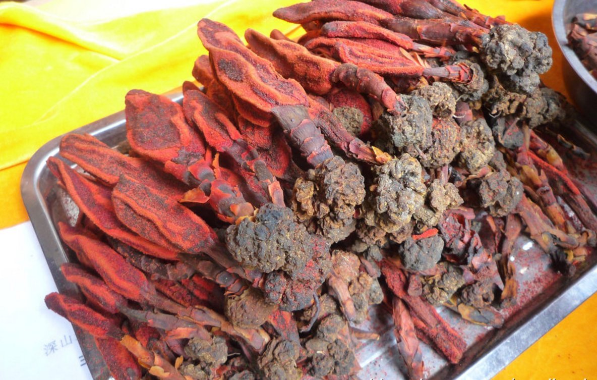回春草吃错了，后果很严重_百科TA说
