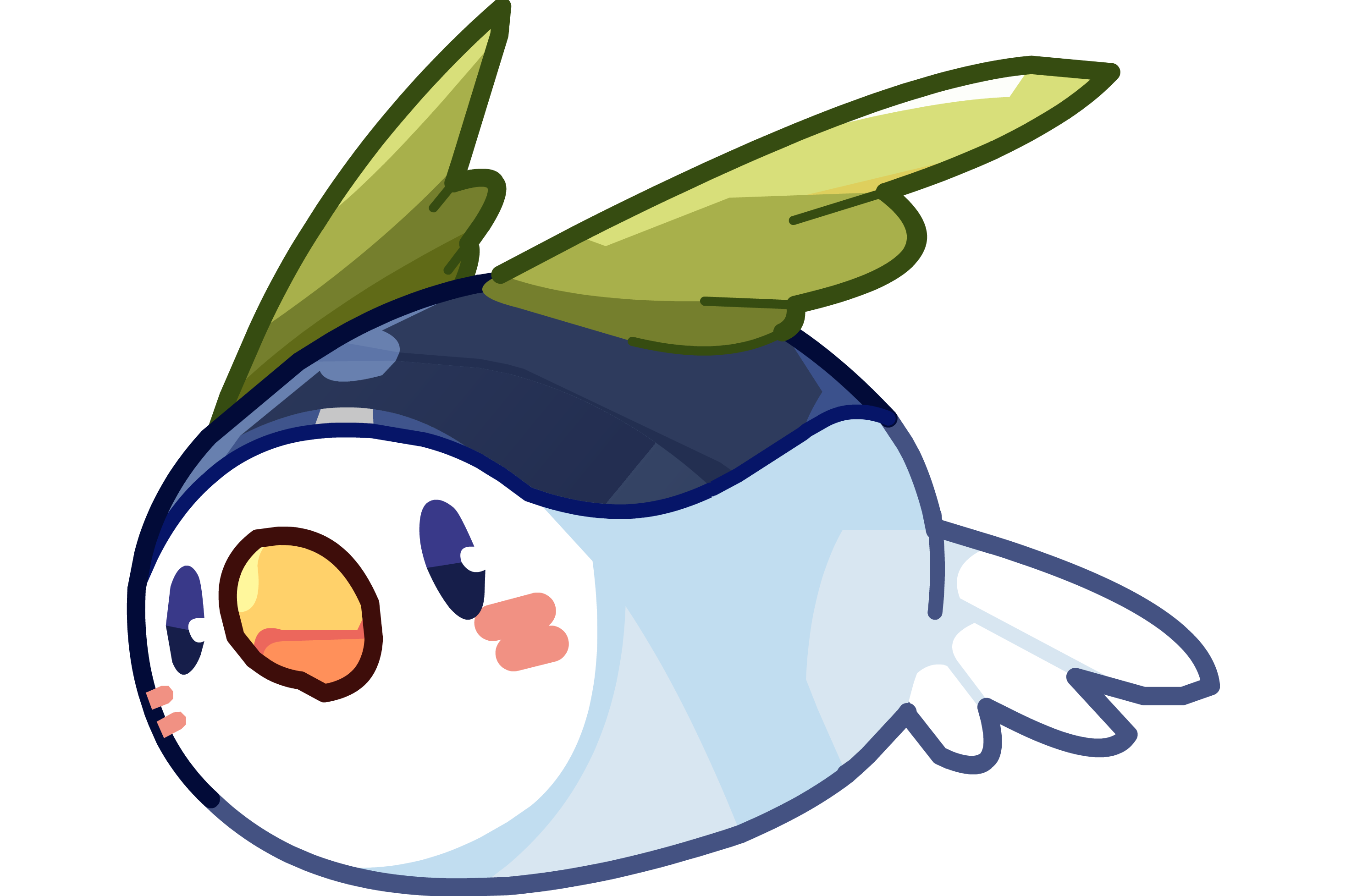 快递小鸽