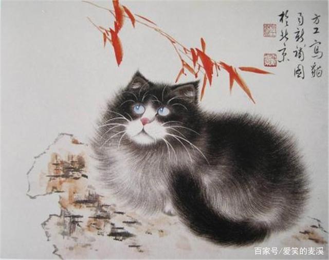 狗来富，猫来贵，被花鸟画“霸占”，猫画凭什么占有一席之地？_百科TA说 