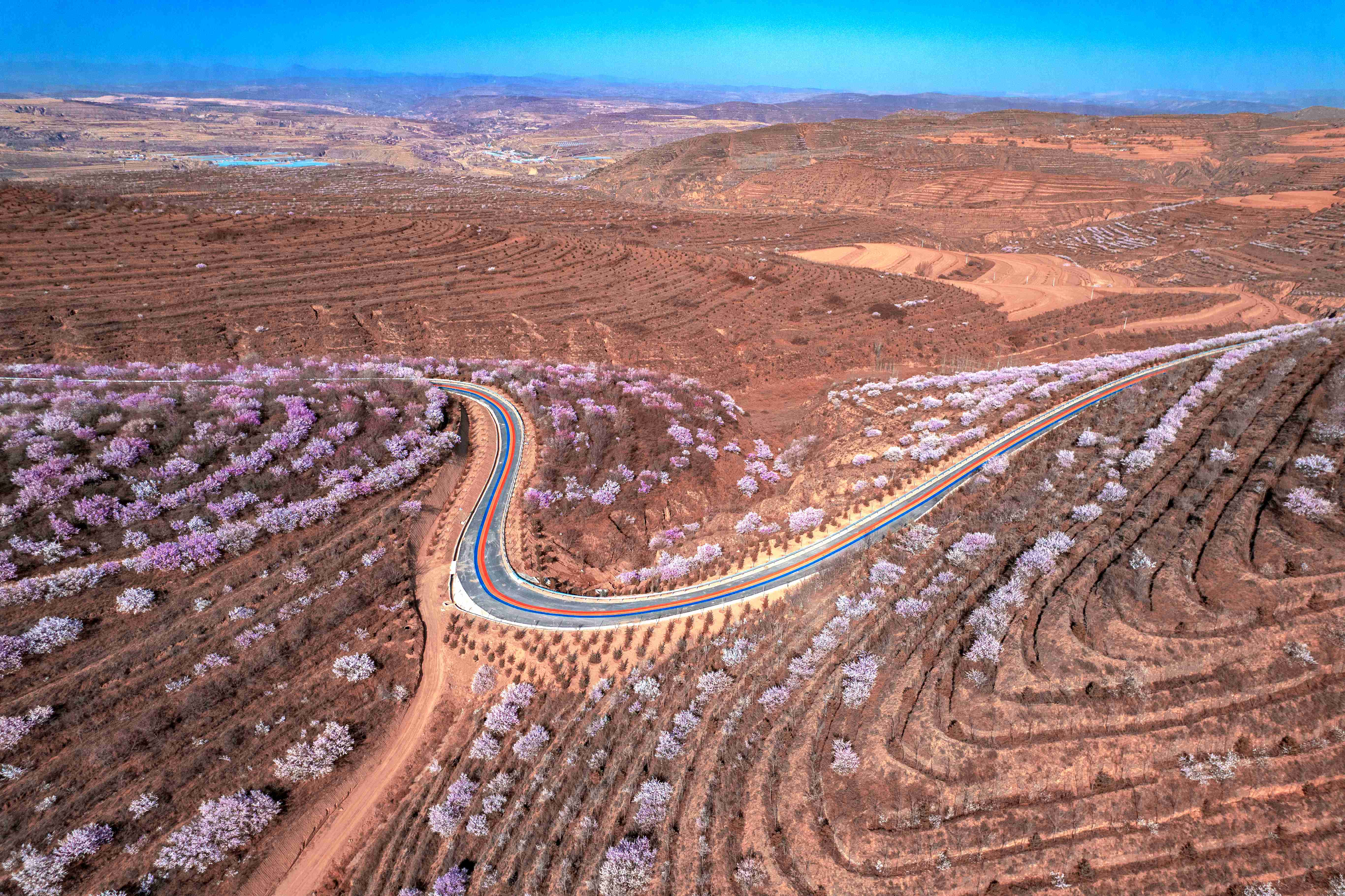 宁夏彭阳山花旅游节
