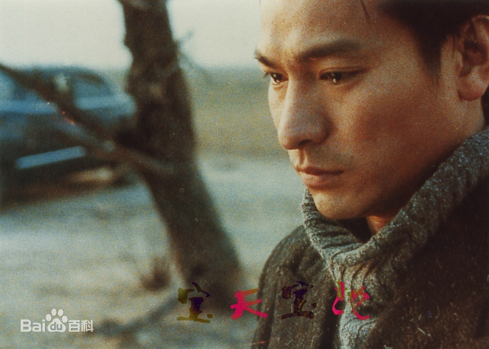  p data-id="gnwzgyrgqy">《天与地》是1994年刘德华所属的天幕制作