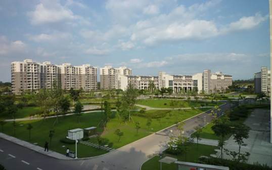 学校公寓绿荫