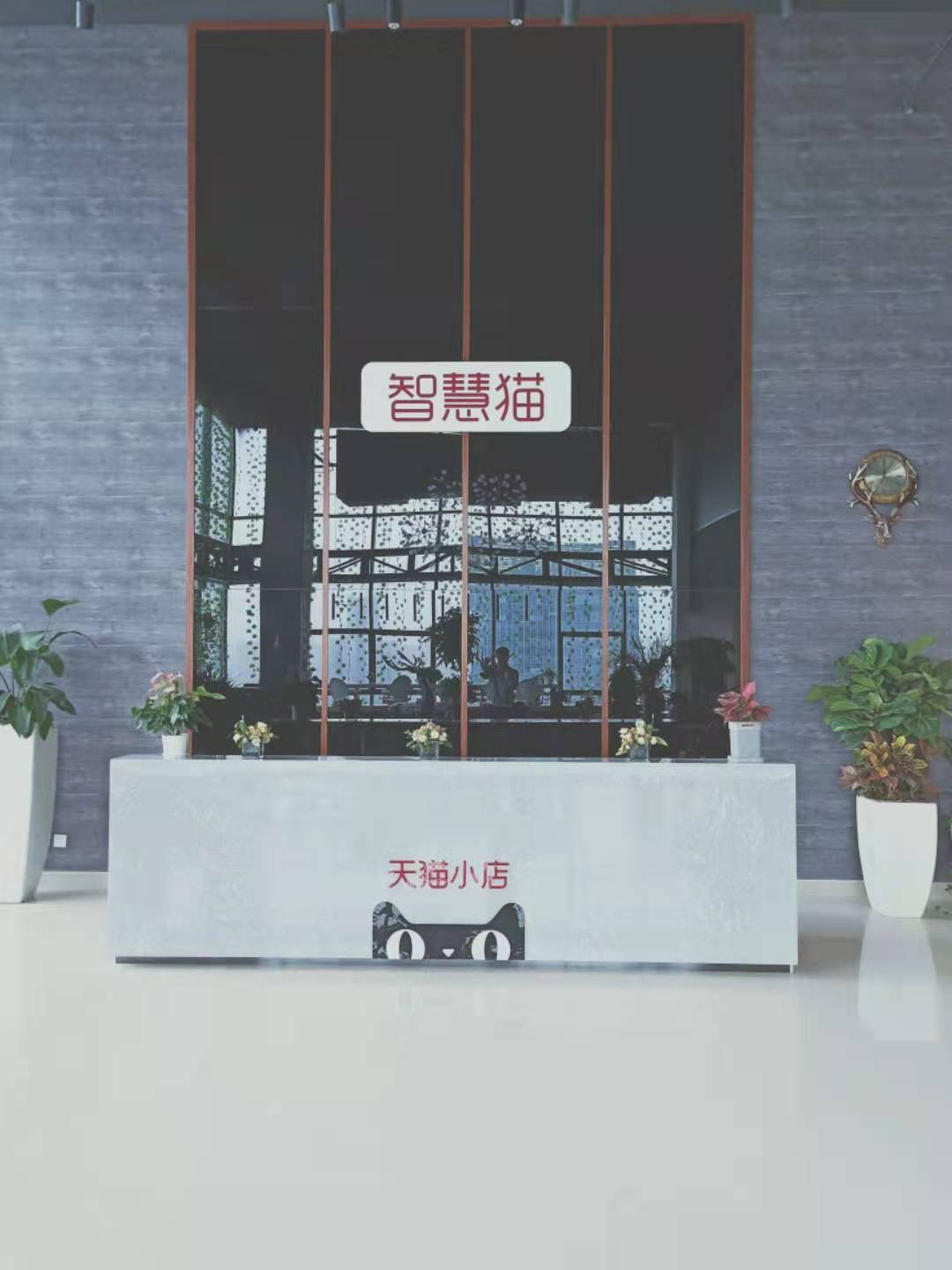 山东智慧猫商业管理有限公司