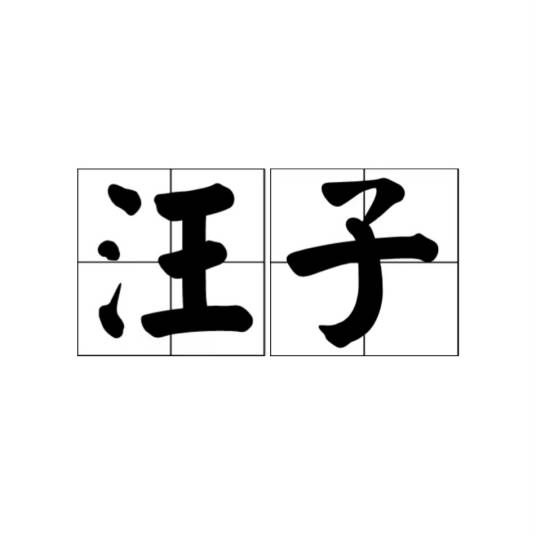 汪子（汉语方言词语，指小而浅的积水坑）_百度百科