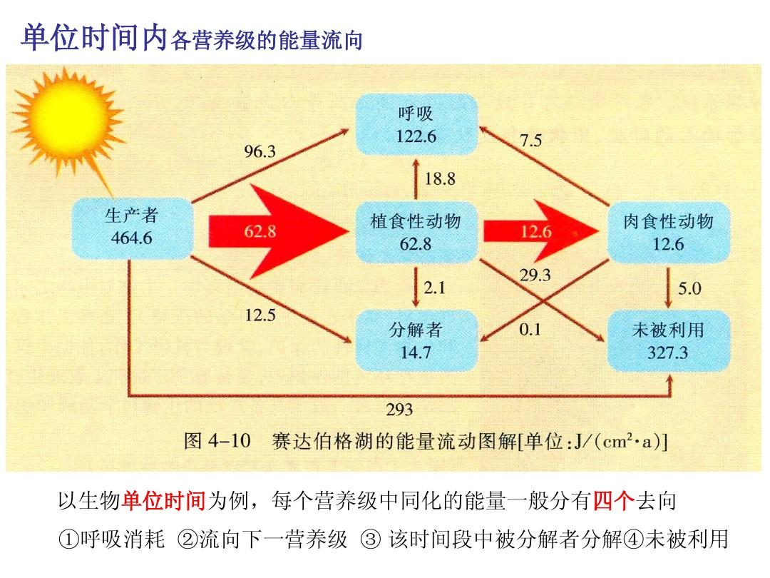 它是指生态系统中的能量从较低营养级