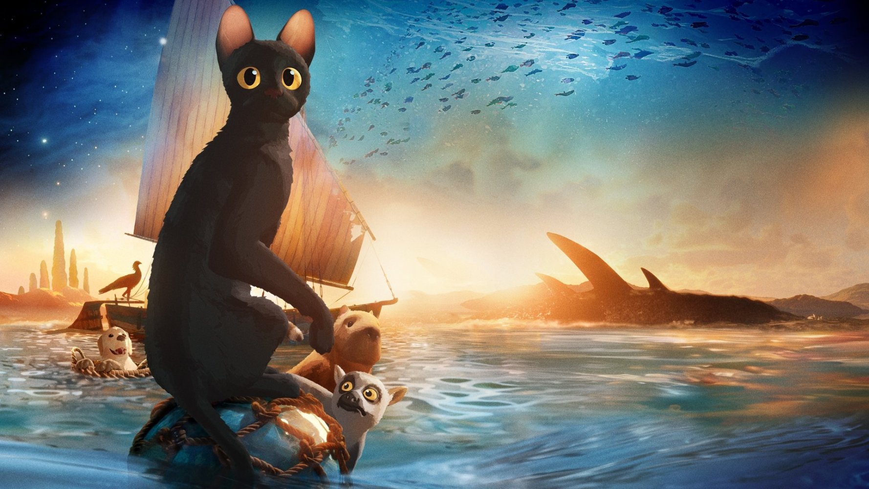 猫猫的奇幻漂流_百度百科