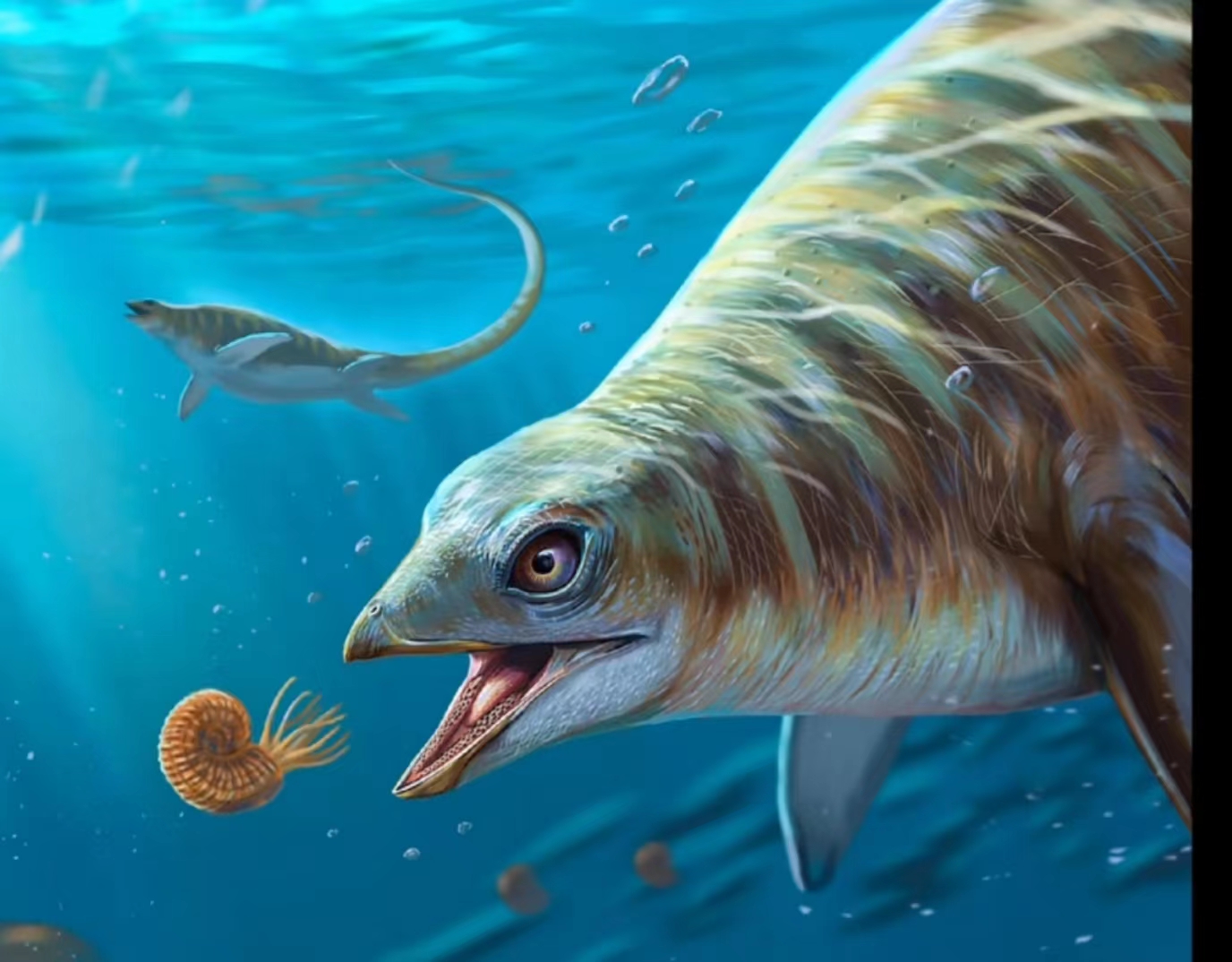  p data-id="gnwg8w3stf">短头鱼龙(学名: i