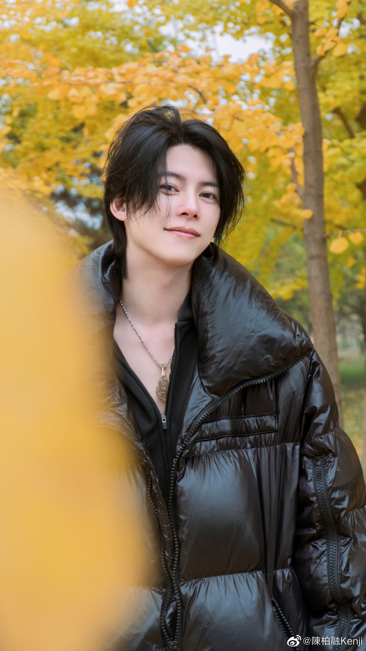  p data-id="gncne5wpom">陈柏融,1984年12月18